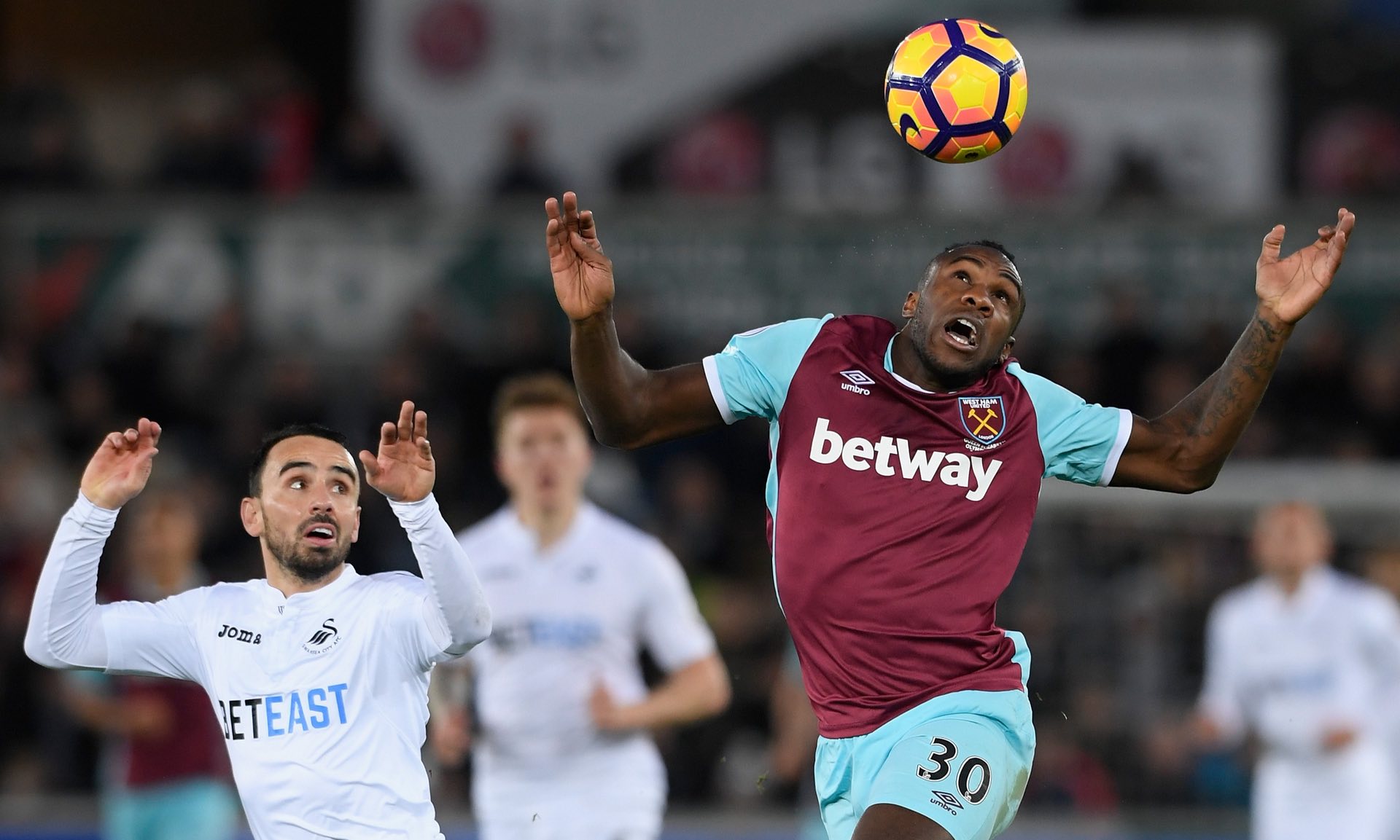 几周内成为 几周内成为