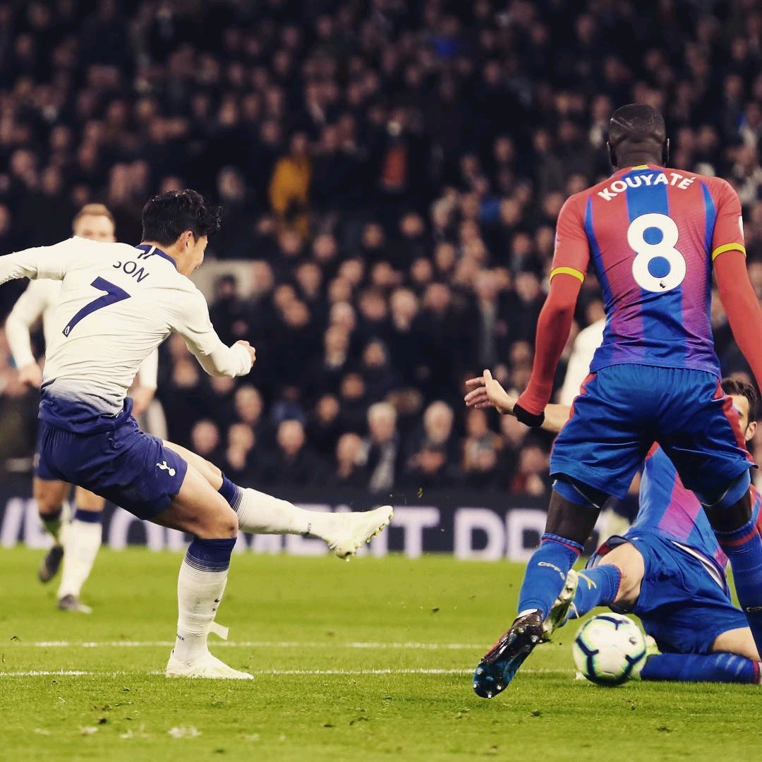 他建立的球 他建立的球